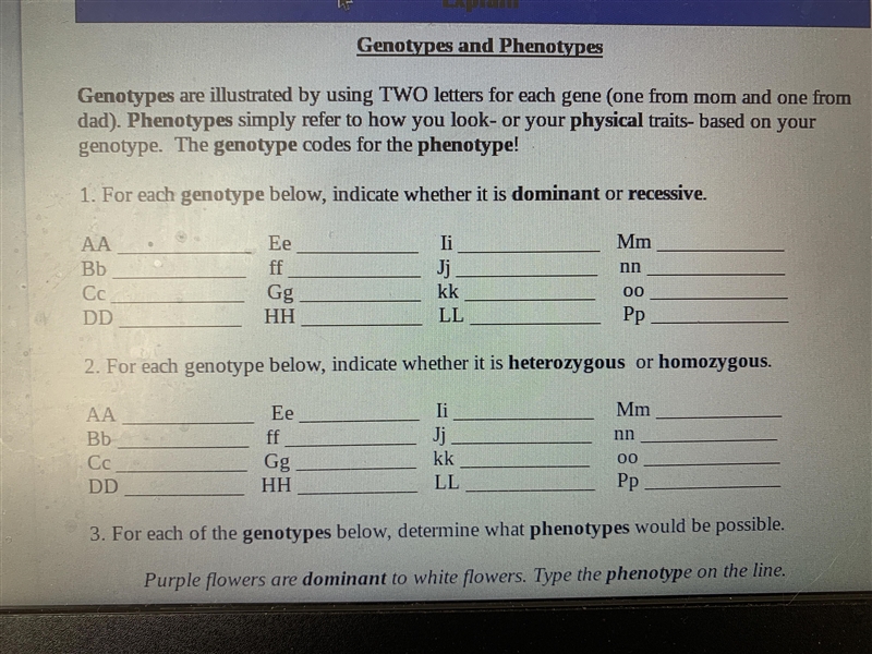 For each genotype below indicate whether it is dominant or recessive-example-1