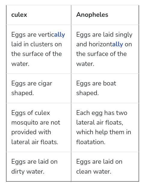 differentiate between larva of culex mosquito and that of anopheles mosquito on the-example-1