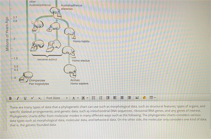 Part E Your molecular clock model resembles another branching chart, the phylogenetic-example-1