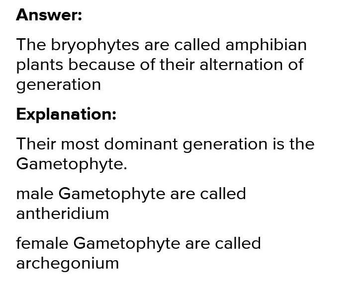 Why are brayophytes called amphibians​-example-1