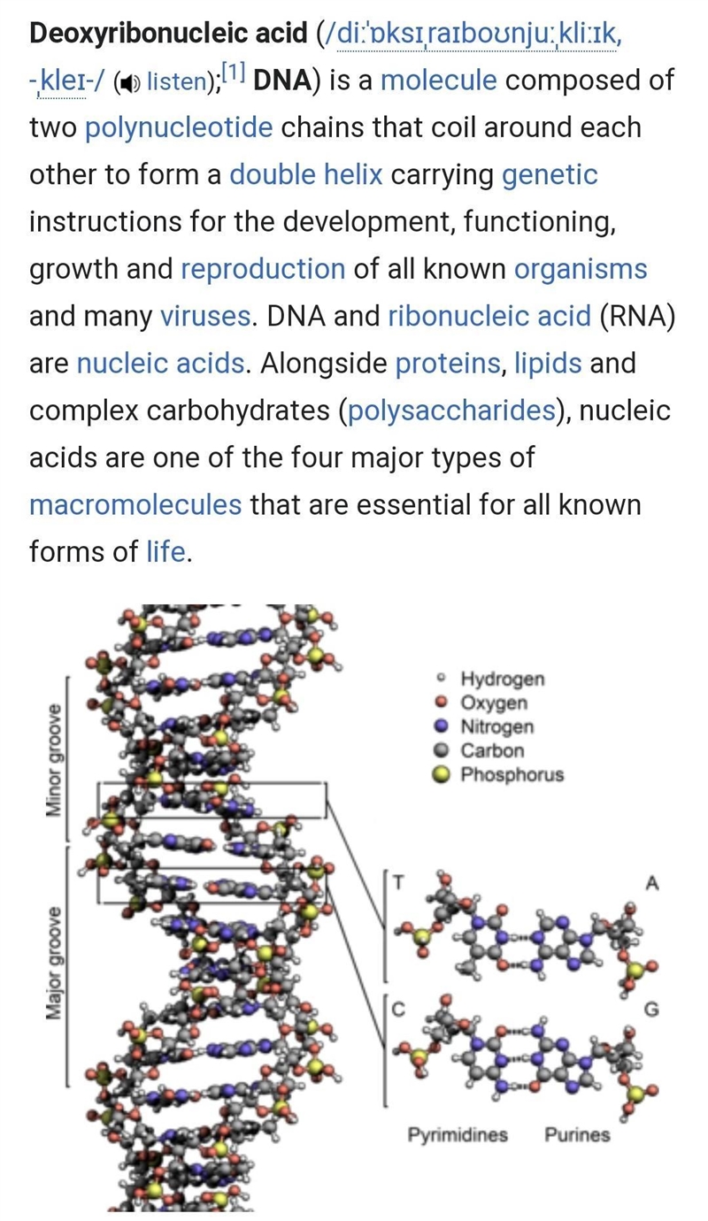 What is a DNA 2 paragraph pls :))))))))))-example-1