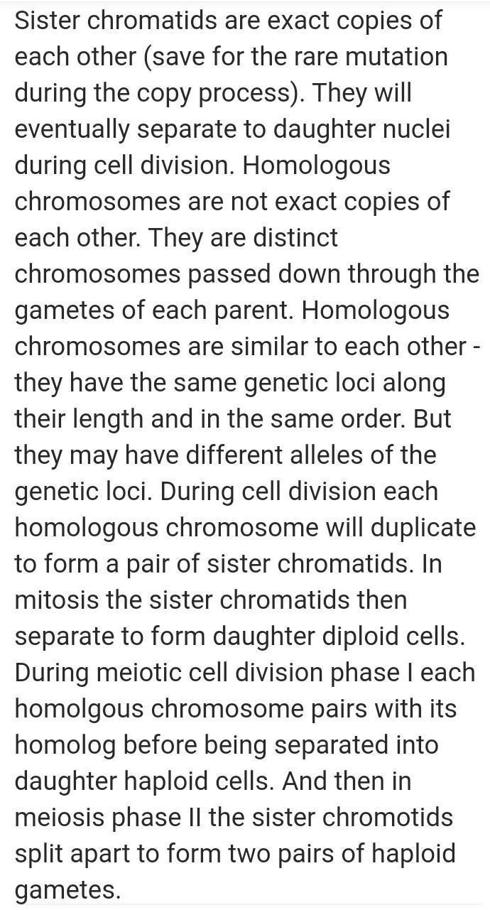 What is the structure of a chromosome? What is the difference between sister chromatids-example-1