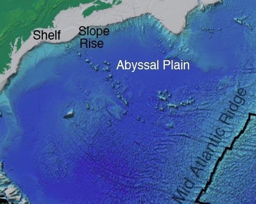 In the image shown below, the abyssal plain is shown in what color? A. Blue. B. Green-example-1