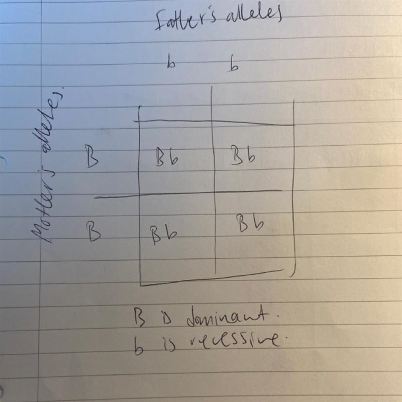 Help please ASAP!!! If the father is colorblind,why all the sons are normal? Construct-example-1