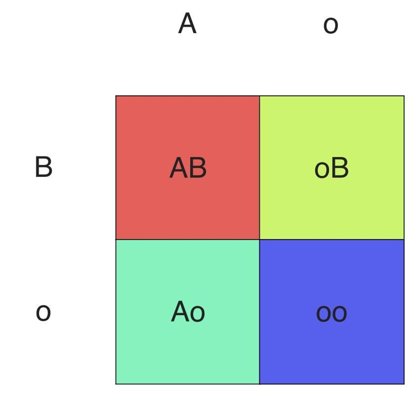 In humans, the "A" allele codes for Type A blood, the "B" allele-example-1