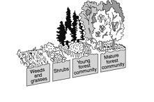 Which statement best describes one of the phases represented in the diagram below-example-1