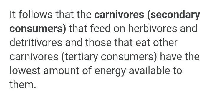 Which organism receives the least amount of energy from the producer?-example-1