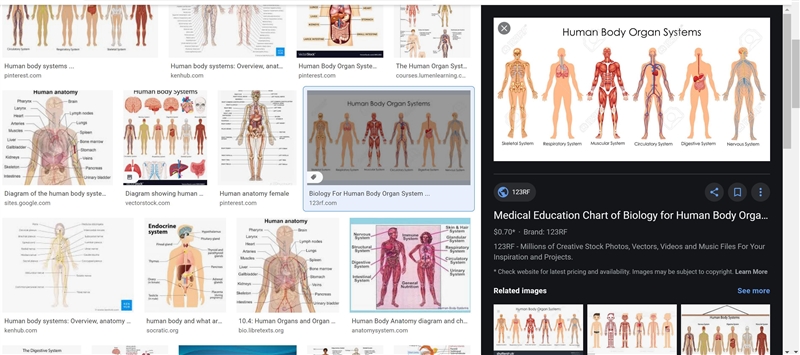 Diagram of the human body system​-example-1