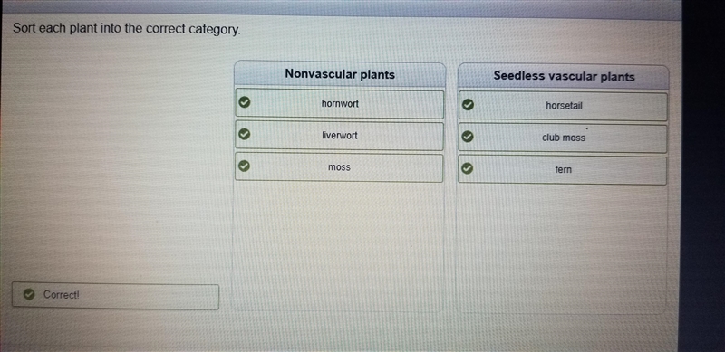 Sort each plant into the correct category. horsetail Nonvascular plants Seedless vascular-example-1