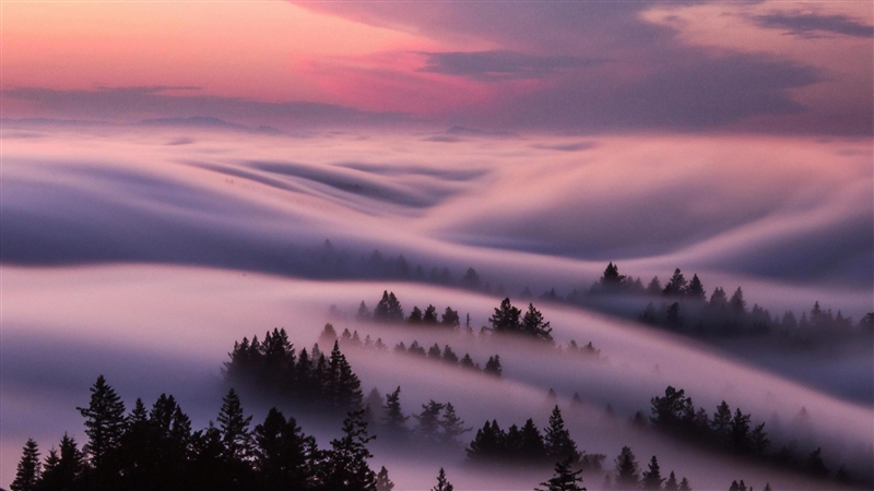 Which type of cloud is shown in the image? cirrus cumulus stratus fog-example-4