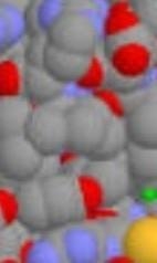 How does being hydrophobic affect protein folding?-example-1