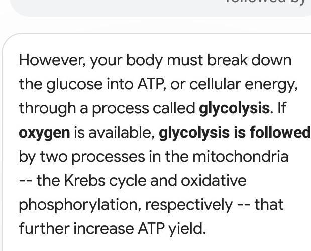 When oxygen is present, glycolysis is followed by A. lactic acid fermentation B. alcoholic-example-1