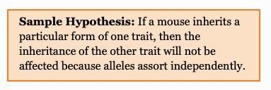 Answer the lab question, “What is the effect of the inheritance of one trait on the-example-1