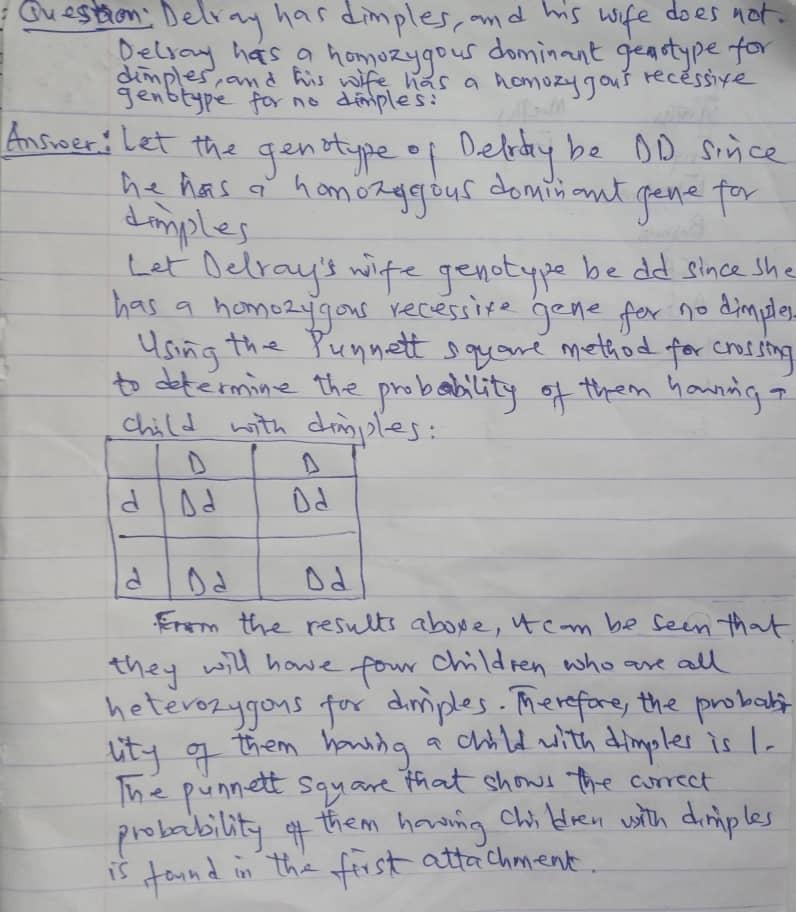 If Delray and his wife decide to have children, then which Punnett square correctly-example-5