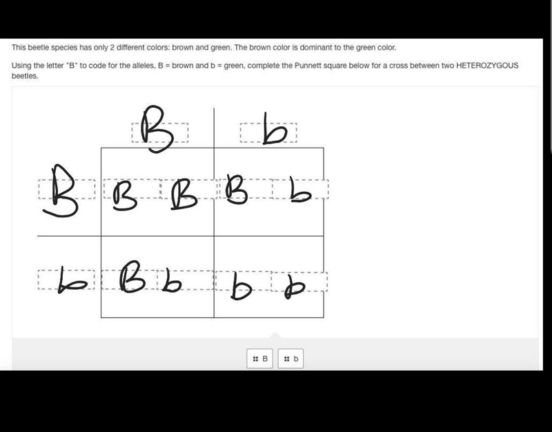 Please help me fill the squares-example-1