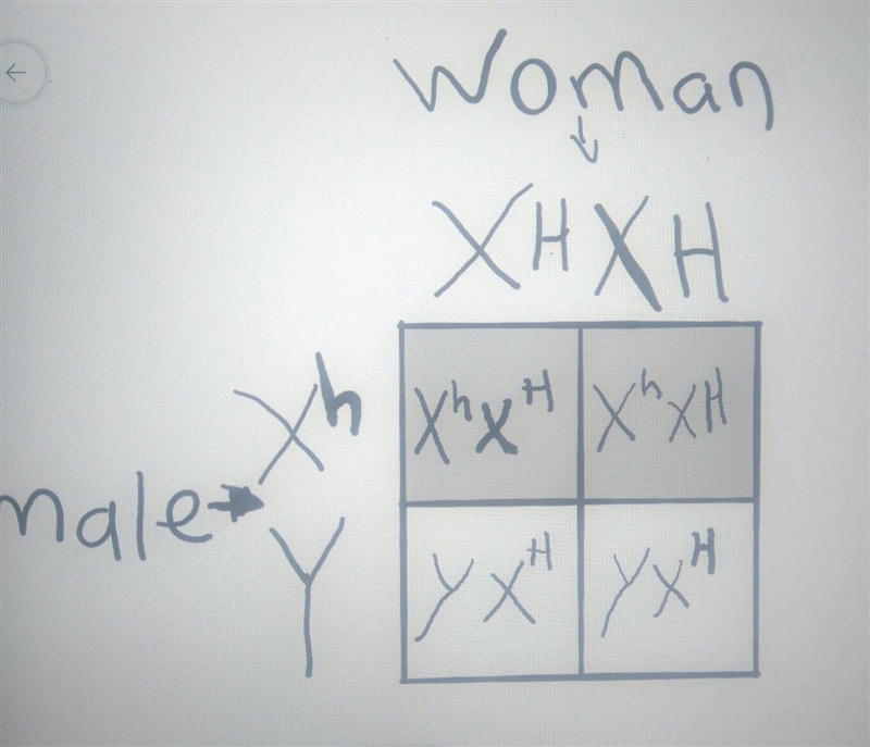 What is the genotype and phenotype for A male hemophiliac with a woman pure for normal-example-1