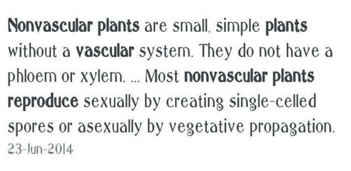 How do the nonvascular plants reproduce?-example-1