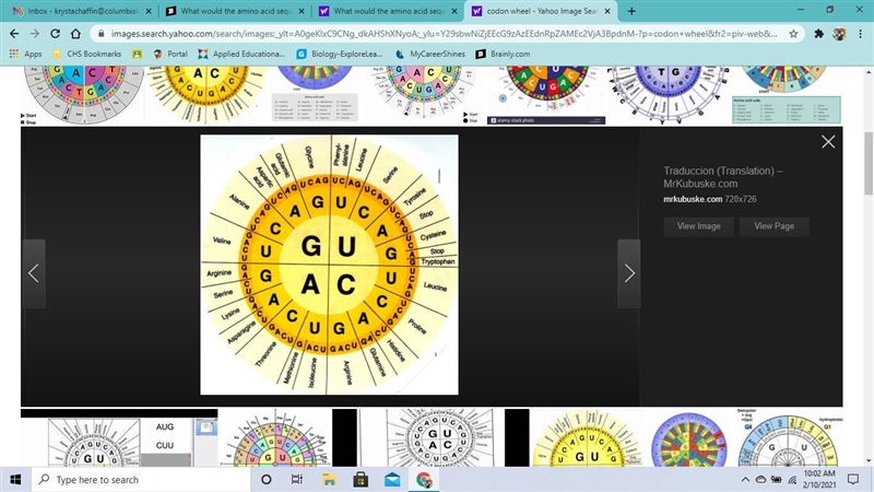 What would the amino acid sequence be for the following piece of RNA: AUG–CGC–AUU-example-1