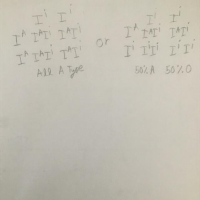 Draw a punnet square showing all the possible blood types for the offspring produced-example-1