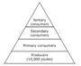 Based on the energy flow between trophic levels in an energy pyramid how much energy-example-1