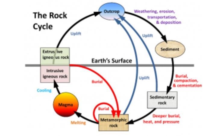 View the diagram below and answer the question. (the screenshot is the diagram) Based-example-1