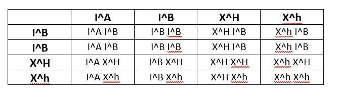 If someone could help me figure out how to do these sorts of problems I would really-example-1