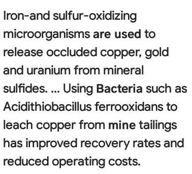 How does the mining industry make use of bacteria?-example-1