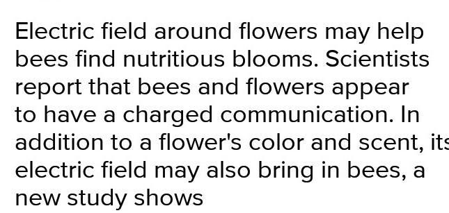 Explain how electric fields make pollination efficient in plants.​-example-1