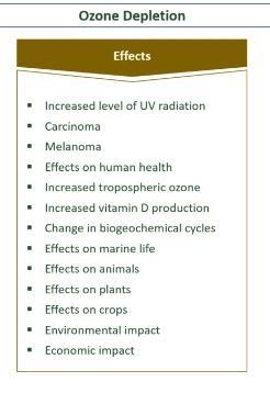 Effects of ozone layer depletion (at least 4 points and don't copy )​-example-1