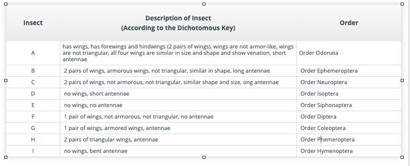 Use this dichotomous key to identify the taxonomic order of each insect. (Hint: All-example-1