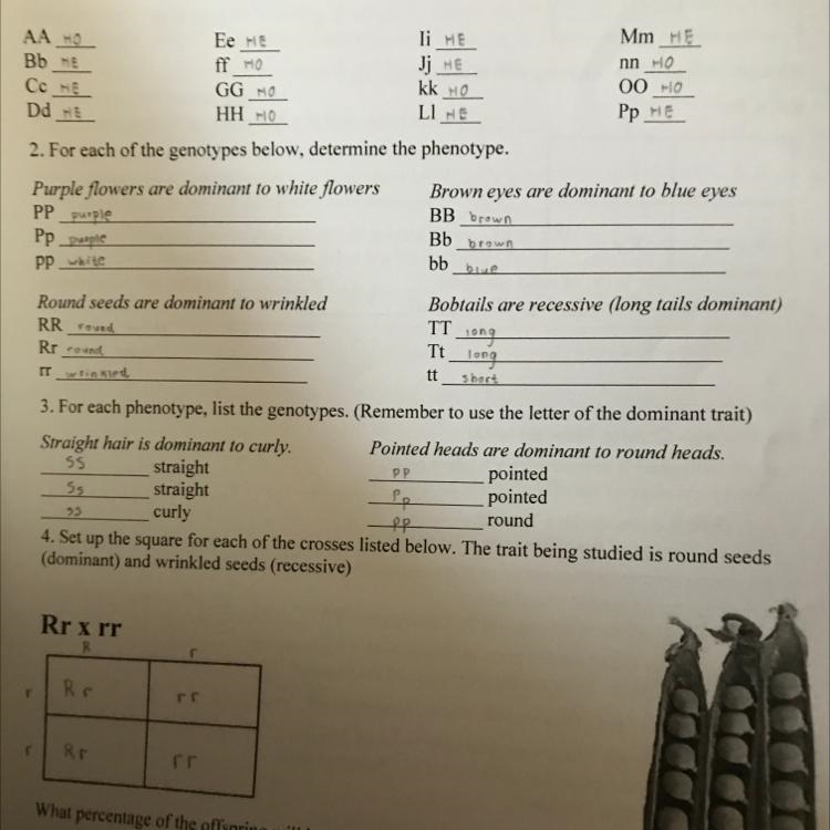 I nned help with these-example-1