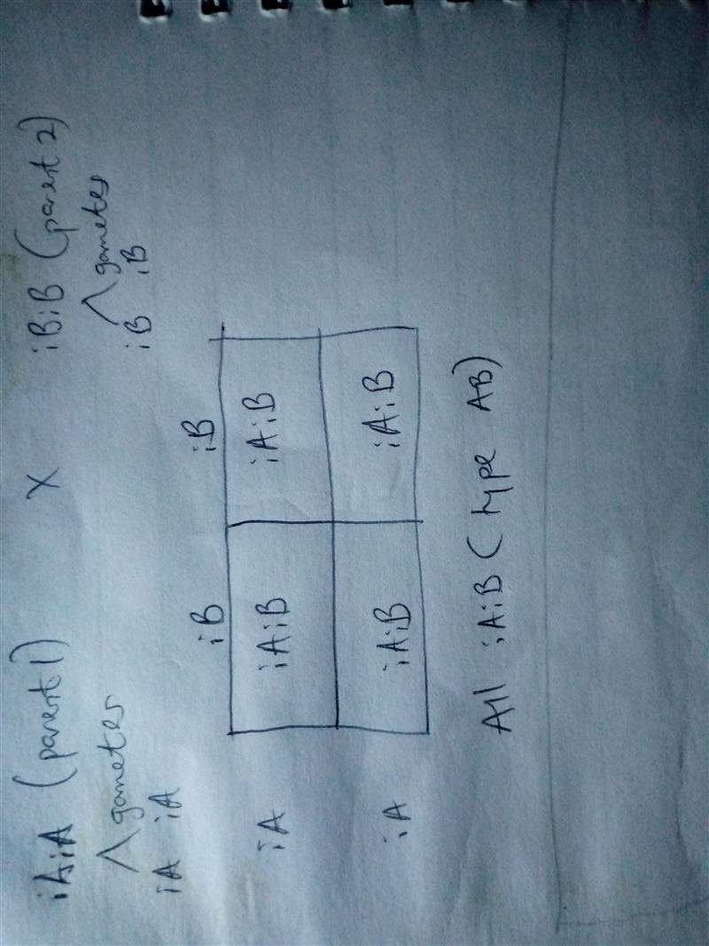 One parent has type A blood and the other has type B. What are their genotypes if-example-1