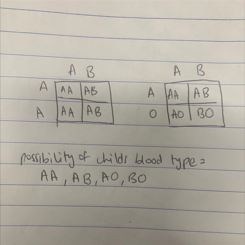 I can’t not solve this please helppp!!-example-1