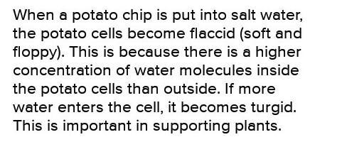 After the experiment the students noticed that the potato stick with the lowest mass-example-1