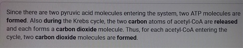 When is carbon dioxide released during aerobic cellular respiration?-example-1