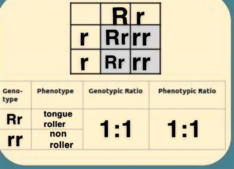 Help me with this please-example-1