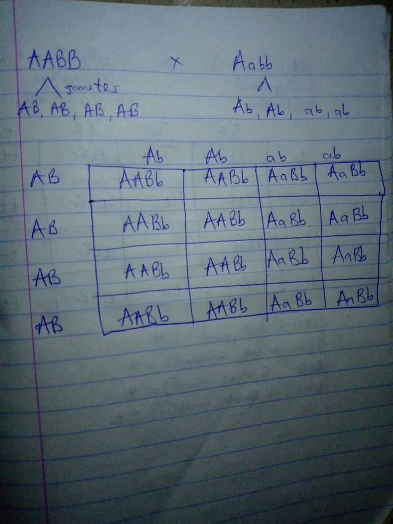 HELP PLEASE In the following cross, assume simple dominance and independent assortment-example-1