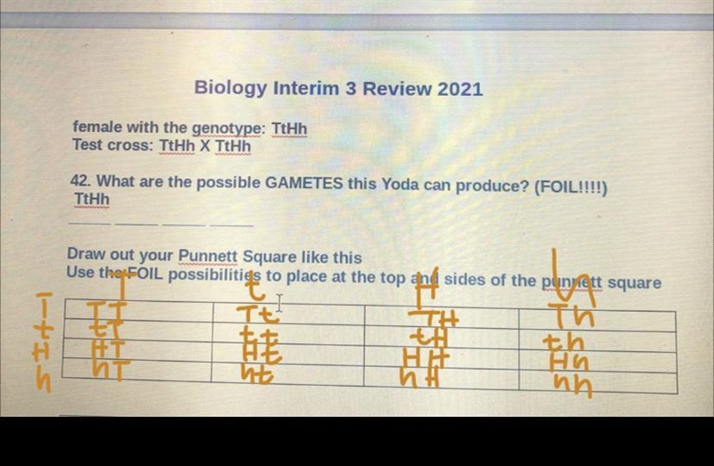 Can someone help me solve this???pls-example-1