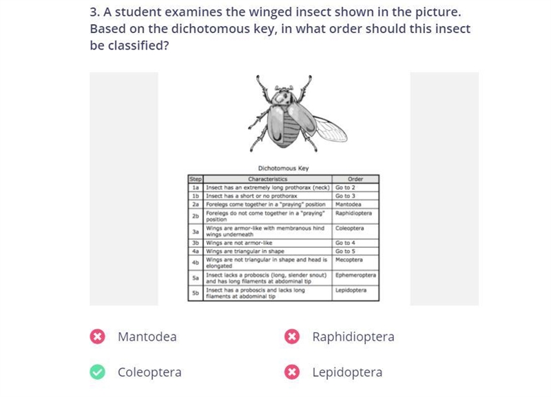 Can someone please help me on this plz I beg u :(-example-1