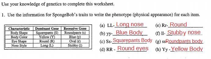 (a) LL- (e) Rr- (b) YY (c) Ss- (d) RR (9) ss- (h) YY-example-1