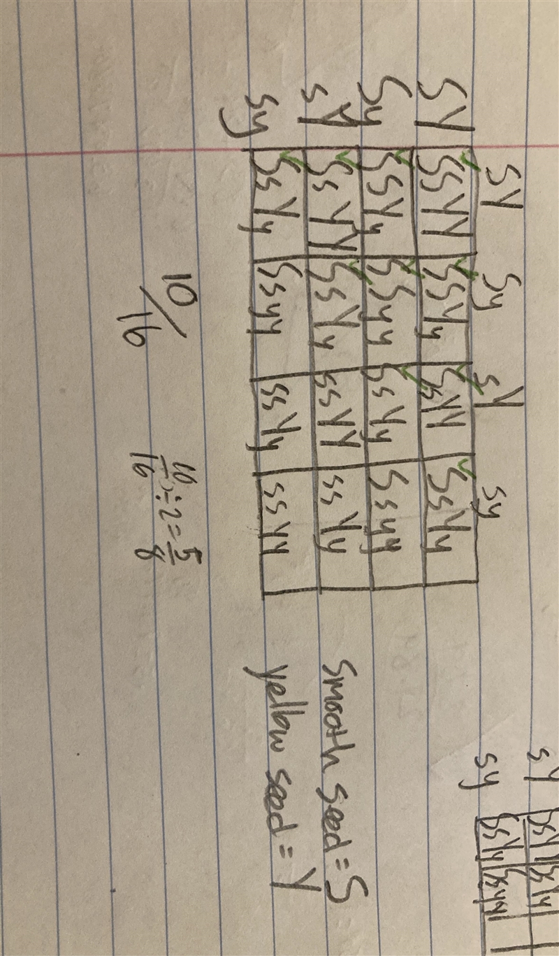 A plant with genotype SsYy is crossed with a plant with genotype SsYy. What is the-example-1