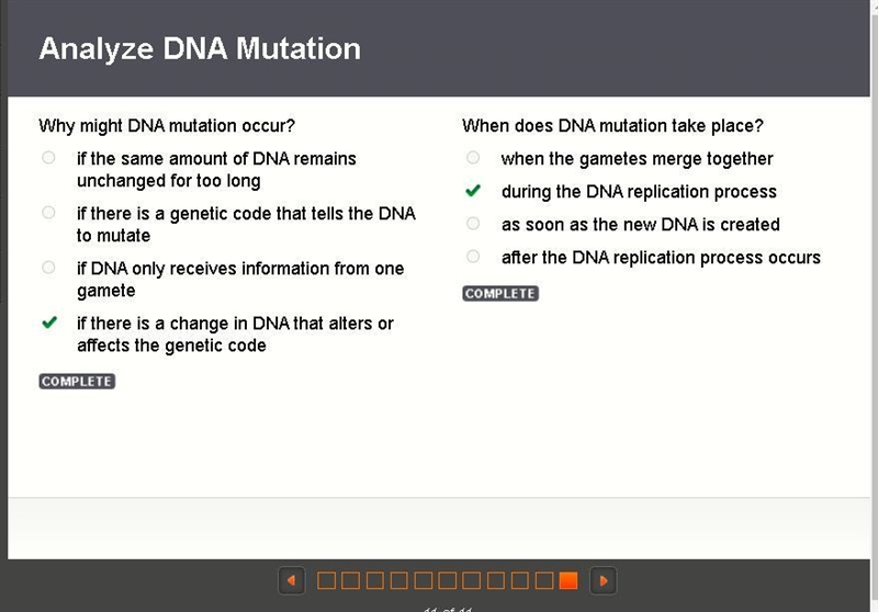 When does DNA mutation take place? when the gametes merge together during the DNA-example-1