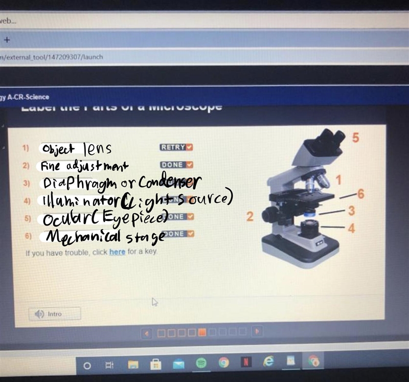 What are the different parts of a microscope?-example-2