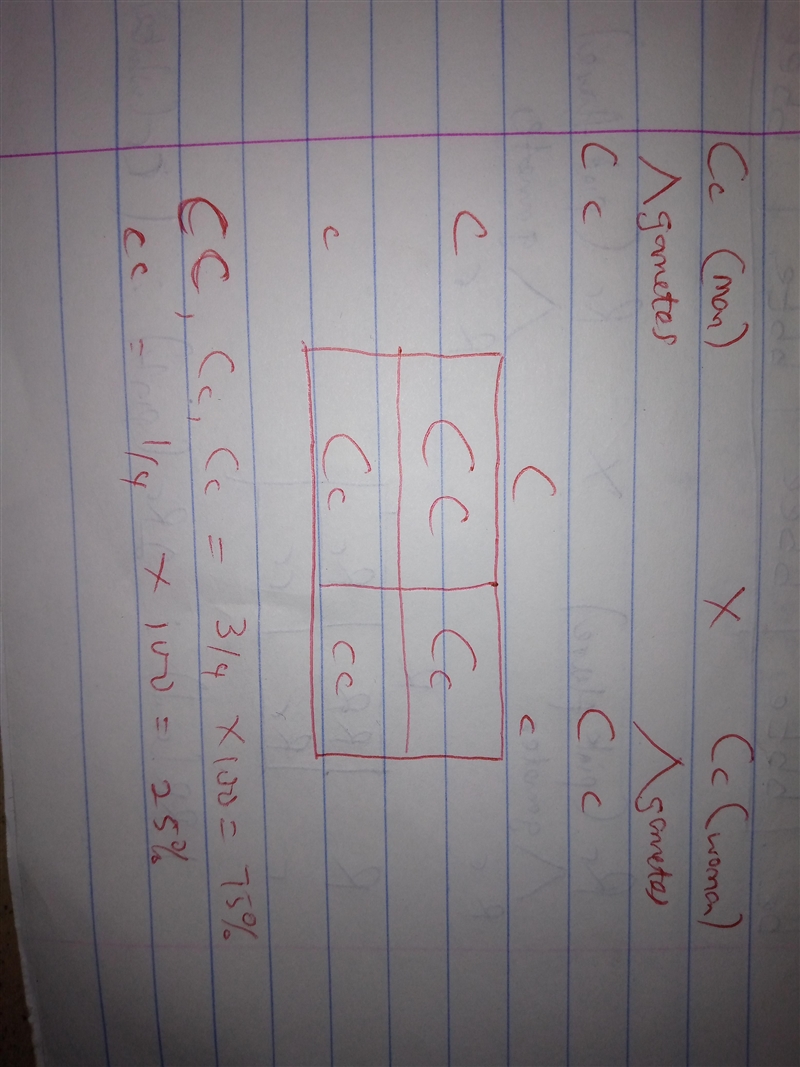 For a particular trait, the allele C is dominant over the allele c. The Punnett square-example-1