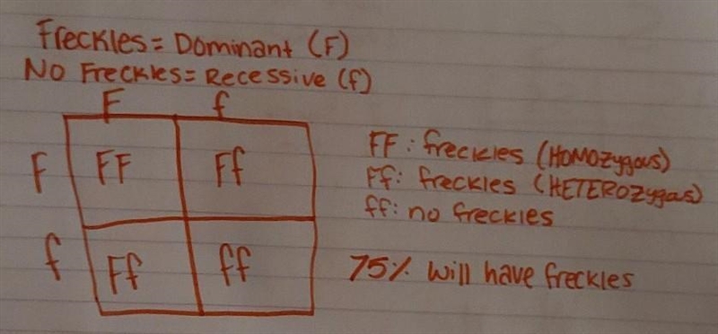 The Punnett square predicts the ratio of genotypes in the offspring, based on the-example-1