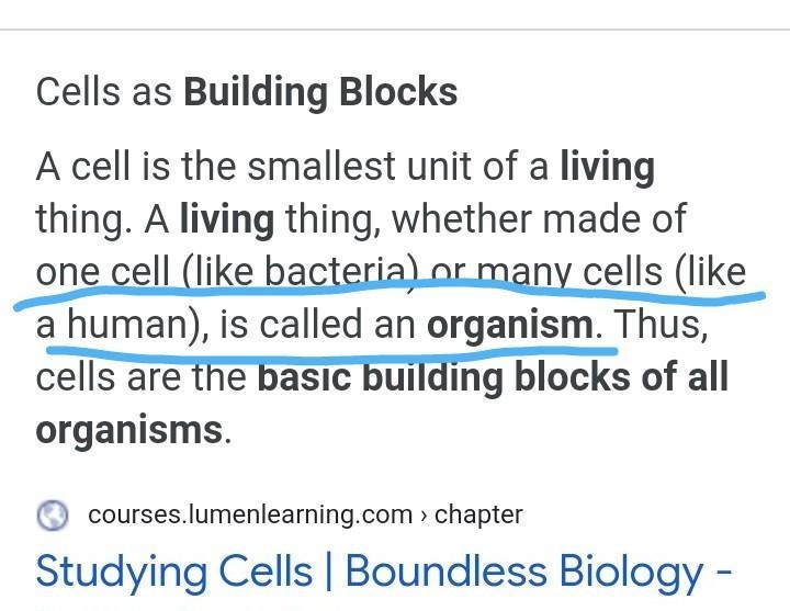 What are the most basic blocks o all organisms​-example-1