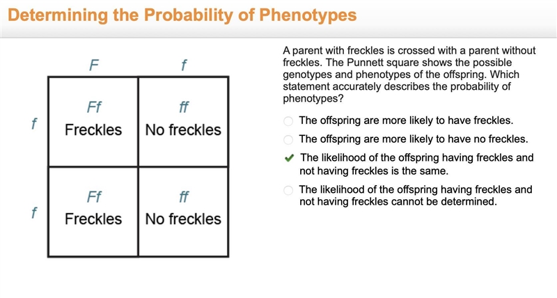 A parent with freckles is crossed with a parent without freckles. The Punnett square-example-1