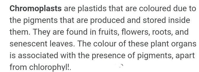 What are chloroplast-example-1