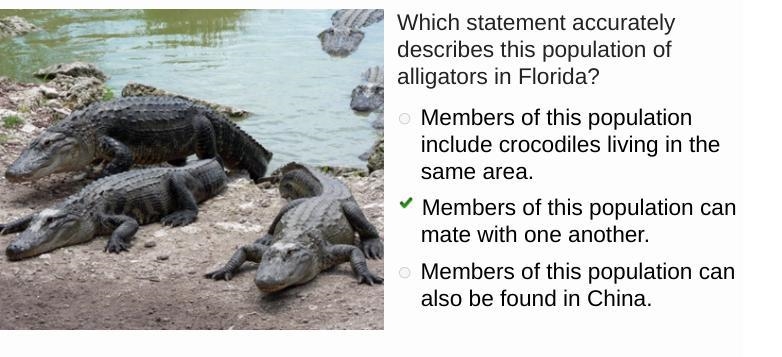 Which statement accurately describes this population of alligators in Florida-example-1