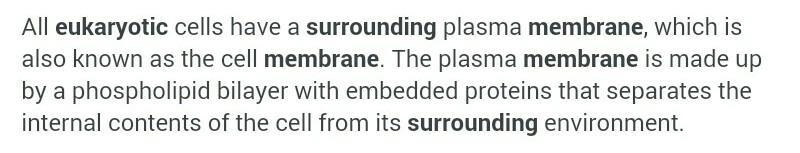 Describe the membranes around eukaryotic organelles.-example-1